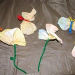 coffee filter bugs