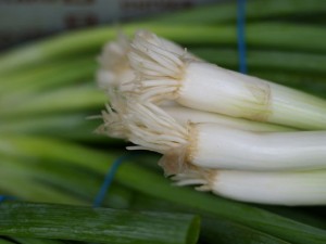 green onions