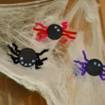 spiders