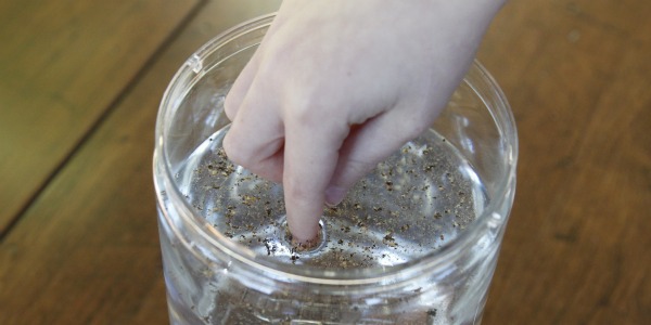 surface tension experiment pepper on water