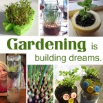Gardening dreams