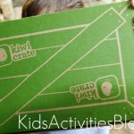 Kiwi Crate with Salt water experiment