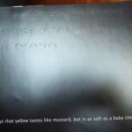 braille story
