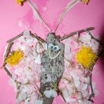 butterfly collage