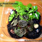 terranium