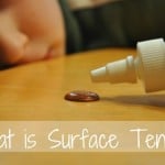 what is surface tension
