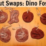 scout swaps dino fossils