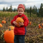 pumpkin and boy kab