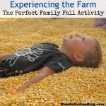 visit the farm