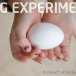 super gross and slimy egg science experiment. Take it's shell off with vinegar.