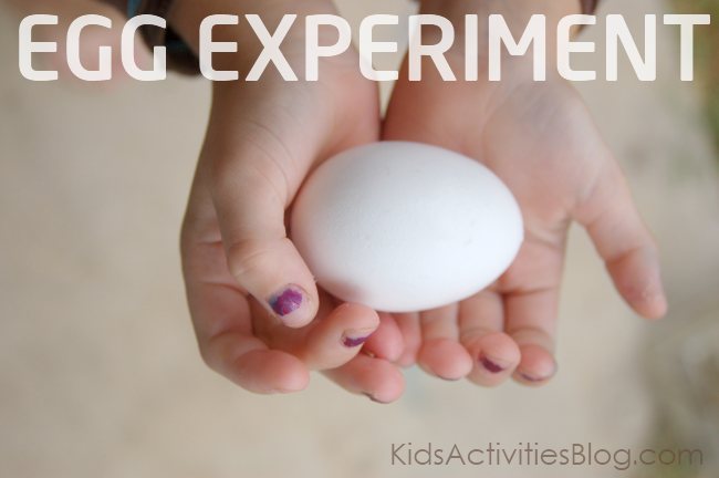 egg experiment