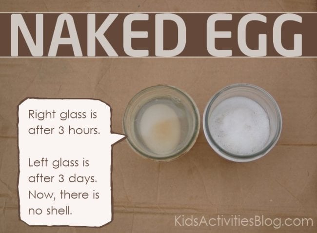 naked egg 