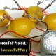 Great science fair project: Make a Lemon Battery {Lemon Power!}