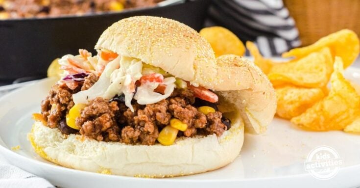 Easy Sloppy Joes Recipe