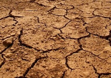 dirt