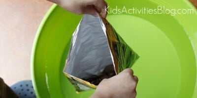 Buoyancy Experiment Kids Activities Blog