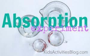 Absorption Project Absorption Experiment Kids Activities Blog
