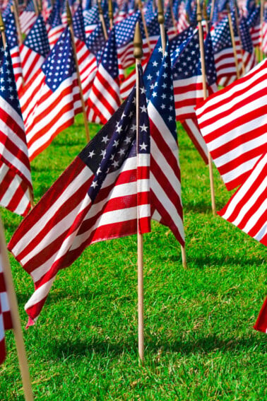 Memorial Day flags