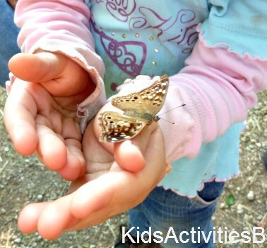 girl holding butterfly