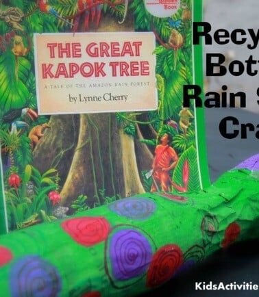 rain stick