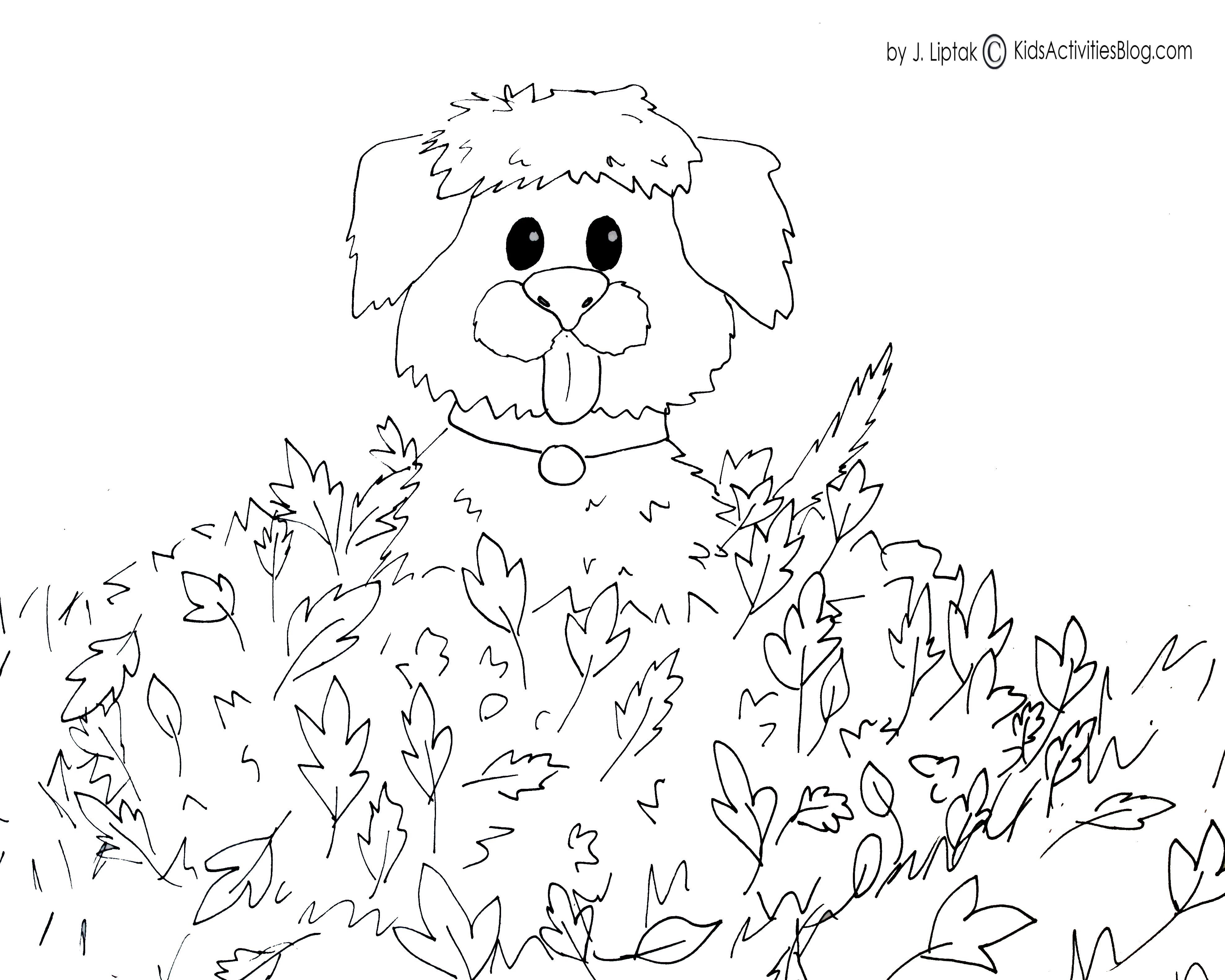 Kbrguru Fall Coloring Pictures For Kids