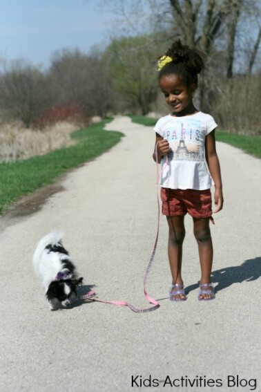 Pet Ownership for Kids: 5 Reasons to have a pet