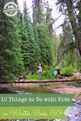 100+ Tips for Traveling with Children | Kids Activities Blog