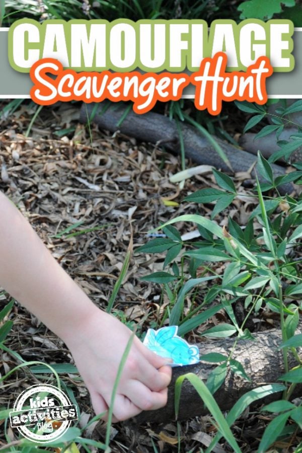 Animal Camouflage Scavenger Hunt w/ Printable Kids Activities Blog