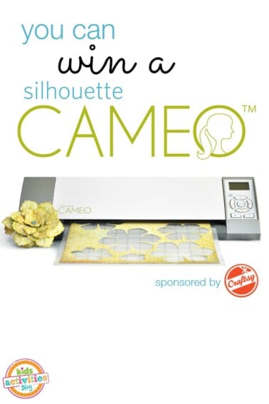 win a silhouette cameo