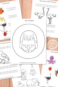 1000+ Engaging Kindergarten Activities for Learning & Play | Kids