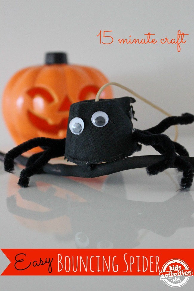 spider craft