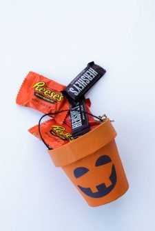 Pumpkin Treat Cup