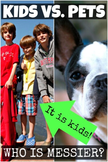 Kids are messier than pets