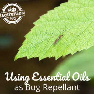 what essential oils keep bugs away