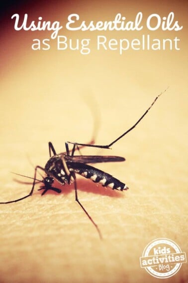 Essential Oils to Keep Outdoor Bugs Away Kids Activities Blog