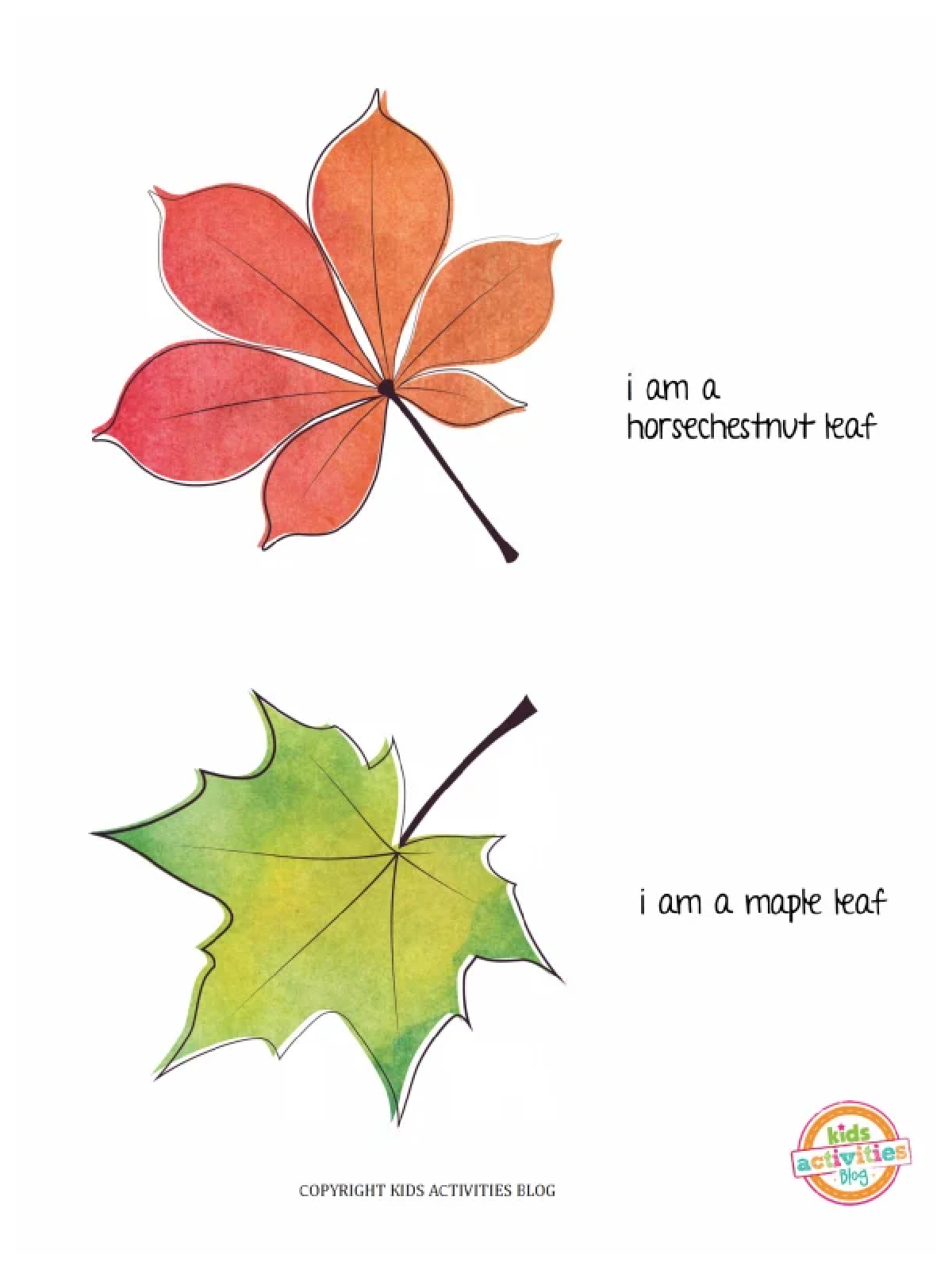 Lacing Cards- maple and horse chest nut cards- kids activities blog