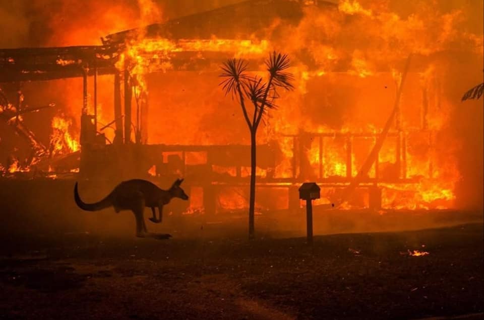 Here’s How Your Kids Can Help With The Australian Fires