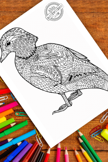 Charming Zentangle Mandarin Duck Coloring Page Kids Activities Blog