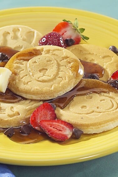 Zoo Friends Pancakes on Plate