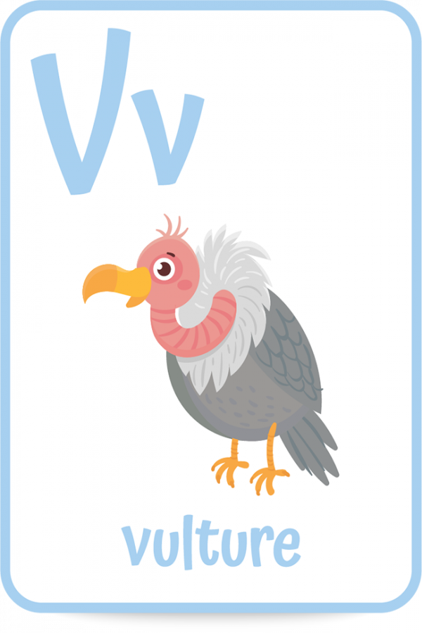 Words That Start With The Letter V Kids Activities Blog