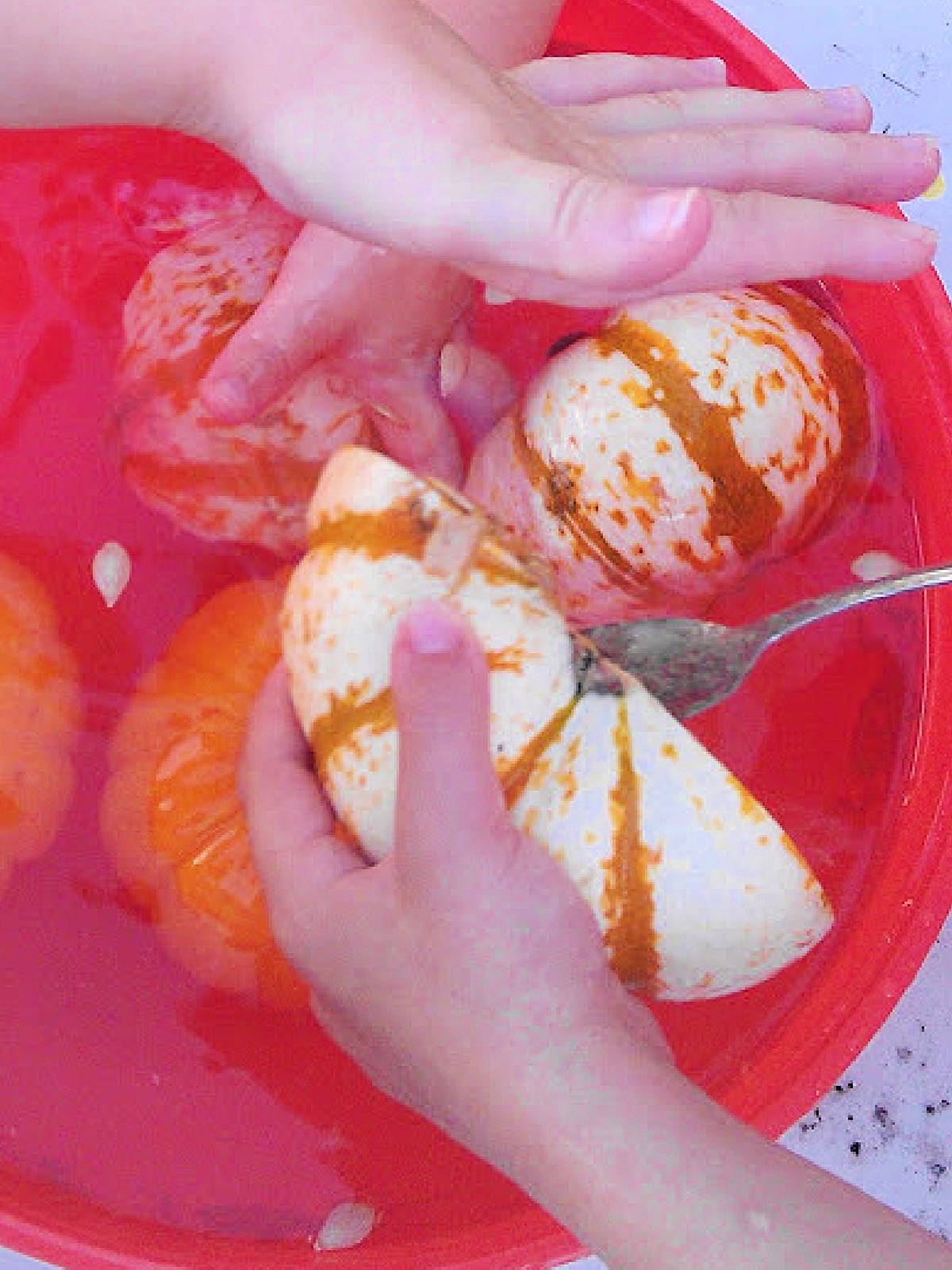 Pumpkin Craft- Science with water, pumpkins and spoon- Kids Activities Blog