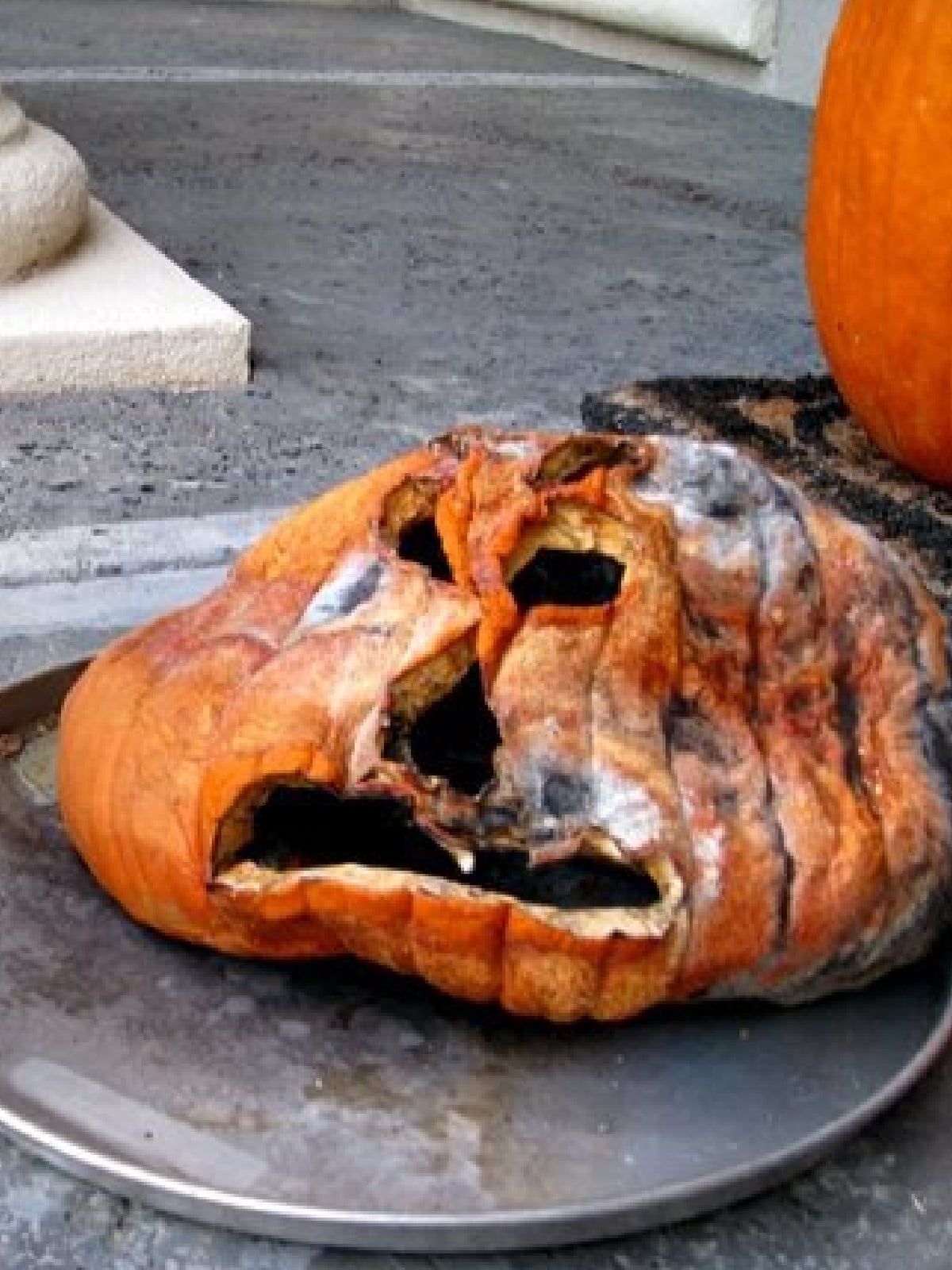 Pumpkin Activities- Rotten and moldy pumpkin- Kids Activities Blog