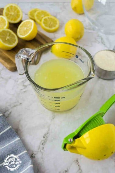 Absolute BEST Lemonade Recipe (only 3 Ingredients) • Kids Activities Blog