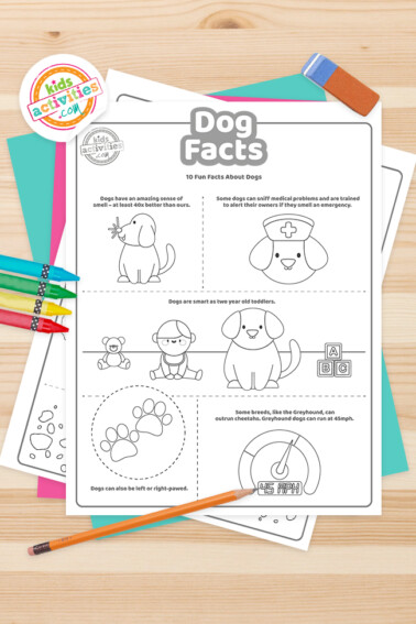 Printable Fun Dog Facts for Kids | Kids Activities Blog