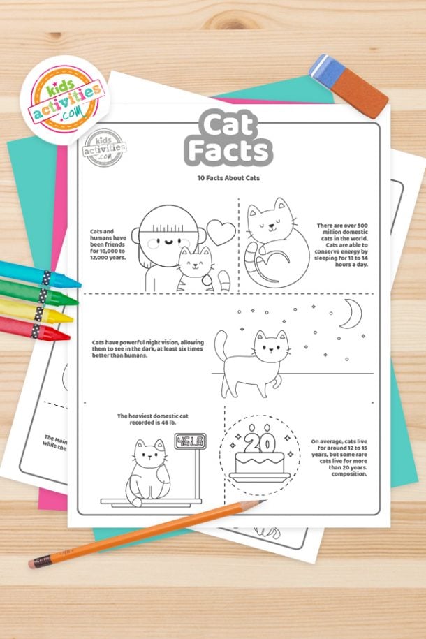 Cat Facts Coloring Pages Feature Image