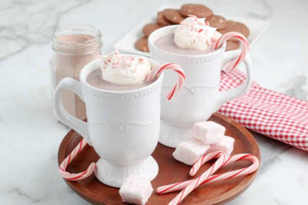 The BEST Copycat Starbucks Peppermint Hot Cocoa Mix Recipe | Kids ...