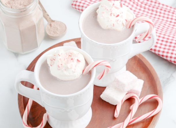 The BEST Copycat Starbucks Peppermint Hot Cocoa Mix Recipe | Kids ...