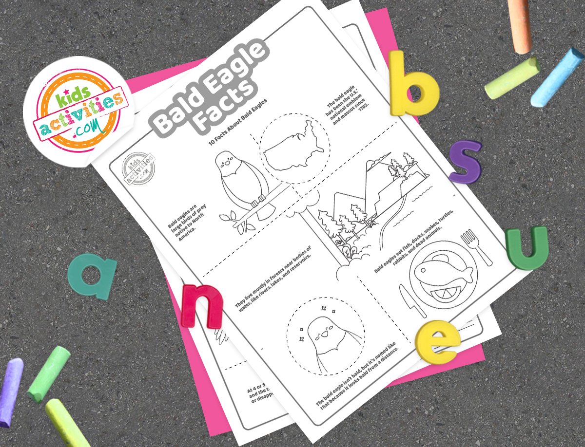 Fun Bald Eagle Facts For Kids To Print and Learn Kids Activities Blog