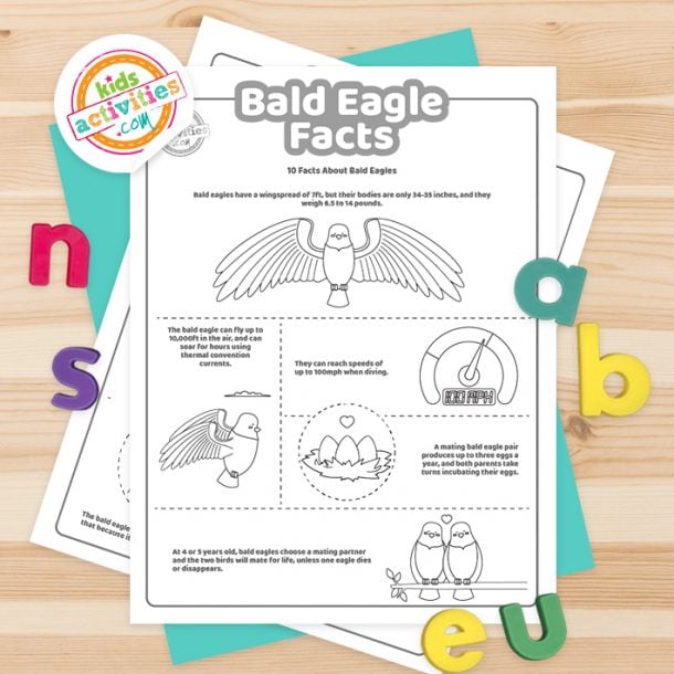 Fun Bald Eagle Facts For Kids To Print and Learn Kids Activities Blog