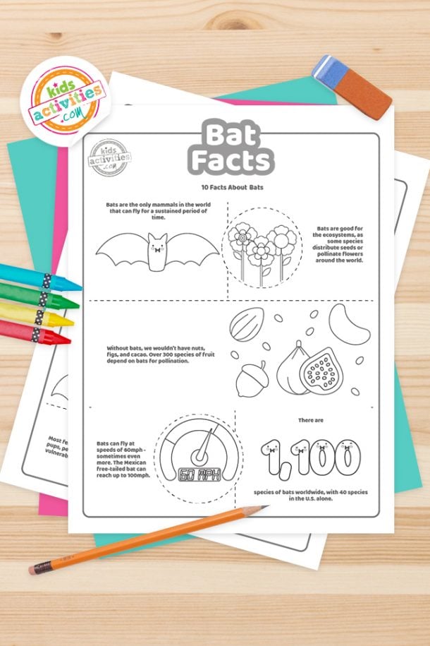 Bat Facts Coloring Pages Feature Image